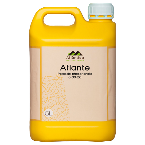 Атланте 5 л